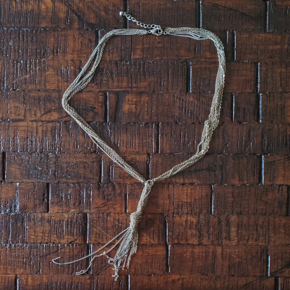 Forever 21 chain tie necklace.